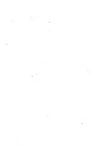 IRE Learning logo